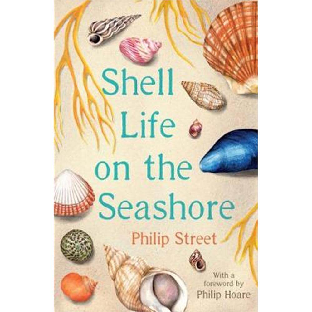 Shell Life on the Seashore (Paperback) - Philip Street